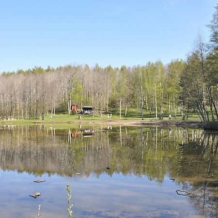 Furusjoens Cottage Ånimskog Eksteriør bilde